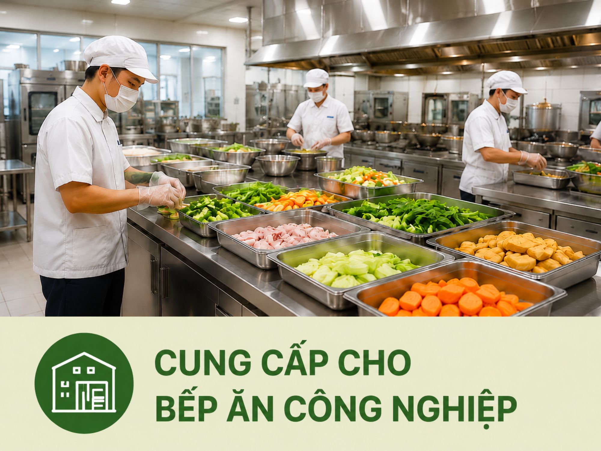 Cung cấp cho bếp ăn công nghiệp